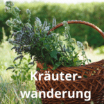 Kräuterwanderung