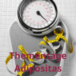 Thementage Adipositas