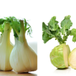 Gesund und lecker kochen und essen