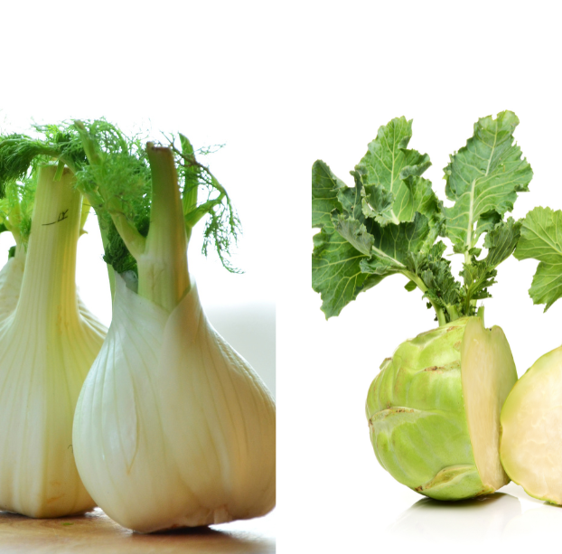 Gesund und lecker kochen und essen