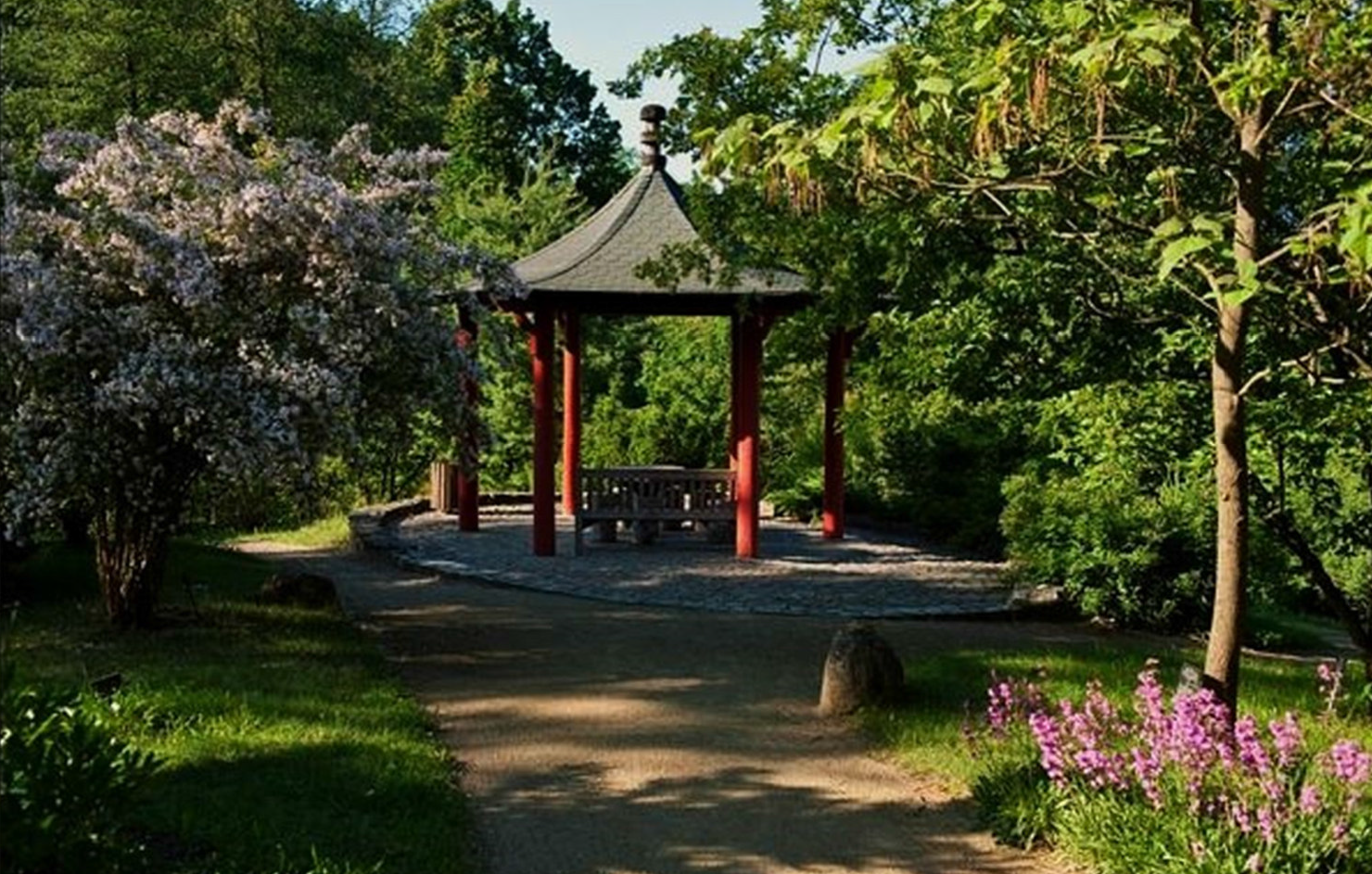 Raus aus dem Kopf - rein in den Garten