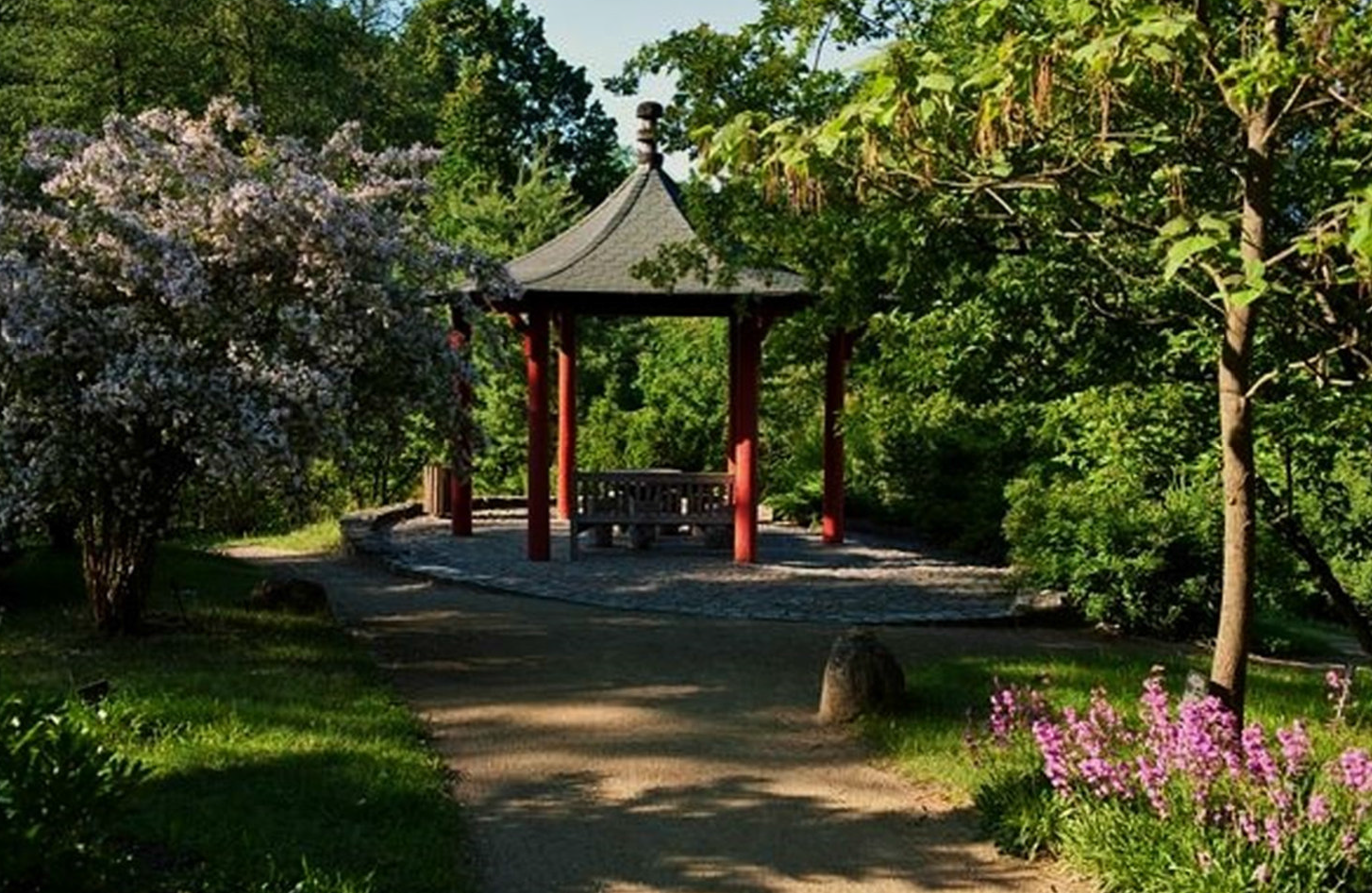 Raus aus dem Kopf - rein in den Garten